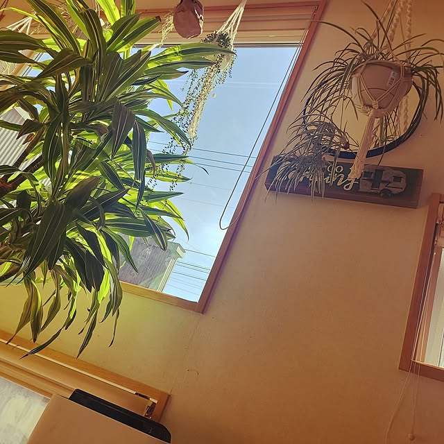 yuzuさんの実例写真
