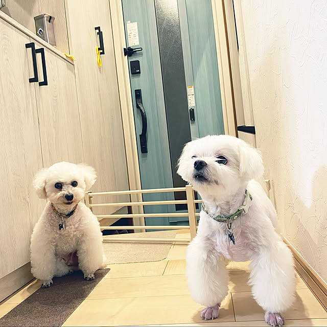 Annieさんの実例写真