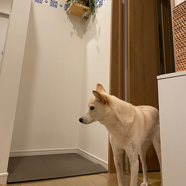 tanboさんの部屋