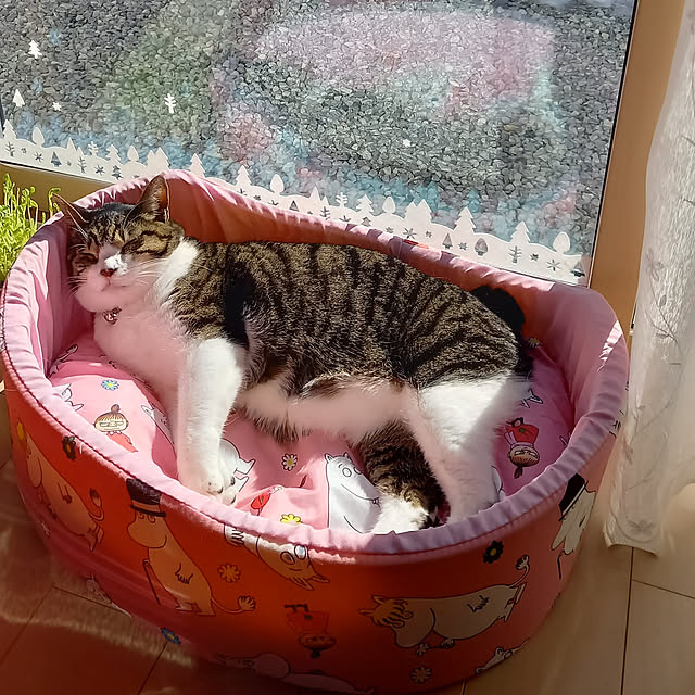 civicglさんの実例写真