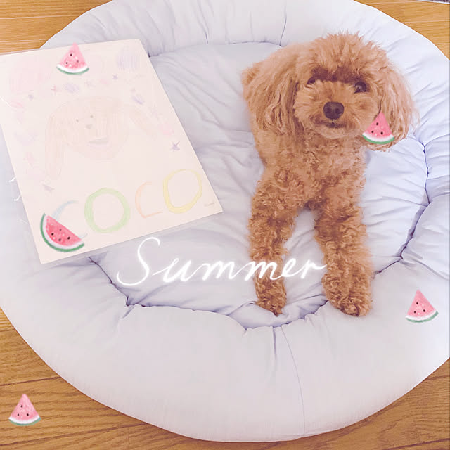 cocolukeさんの実例写真