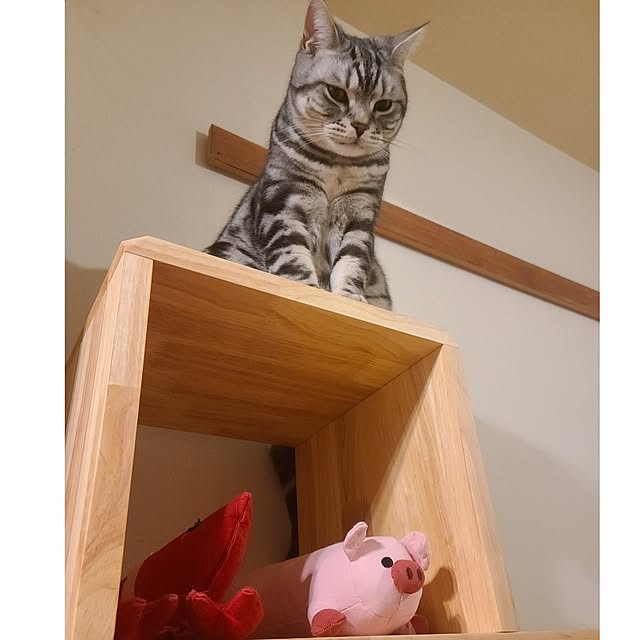 lovepeaceさんの部屋