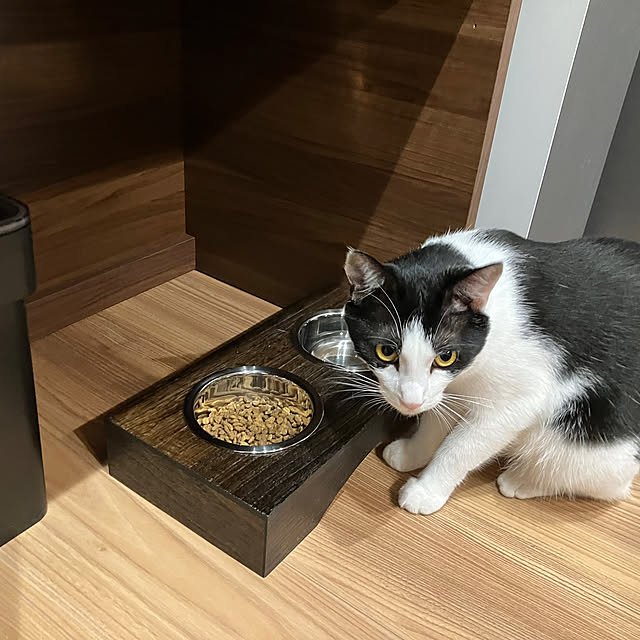 qp_ktbnさんの部屋