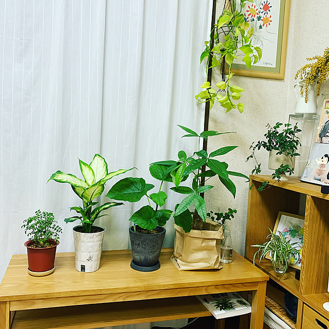 ranさんの実例写真