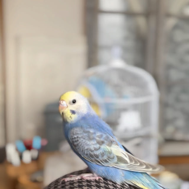 Atsukoさんの部屋