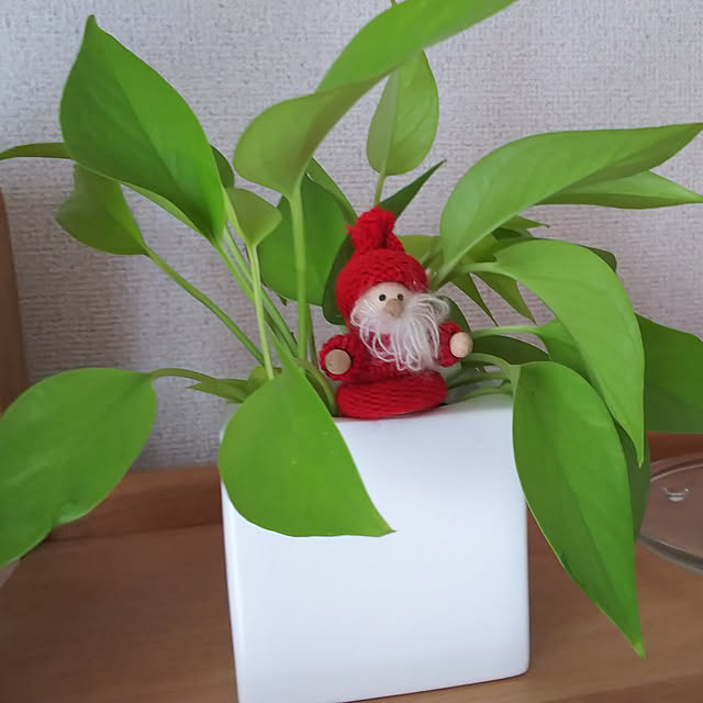 miyukiさんの実例写真
