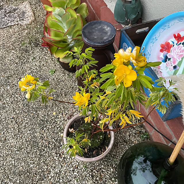 shin0719さんの部屋