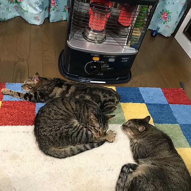 pepeさんの実例写真