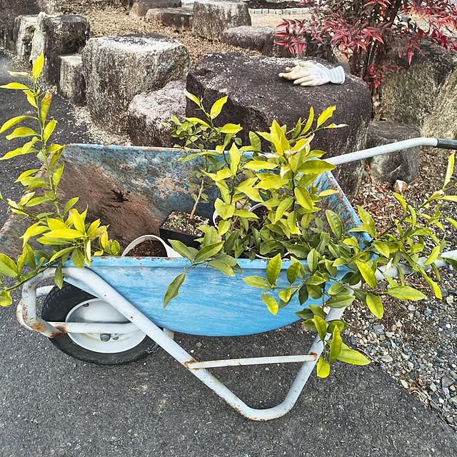 Rubiconさんの部屋