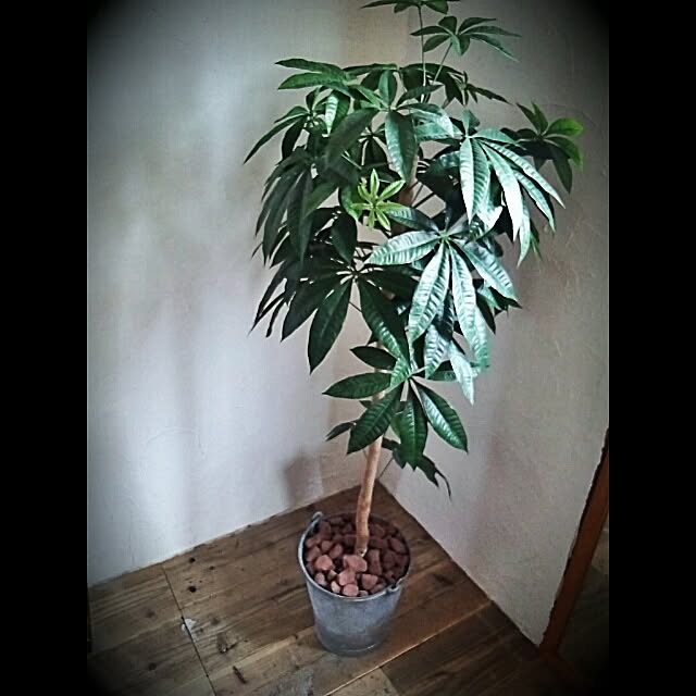 cenvillさんの実例写真