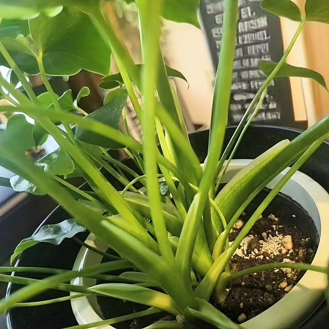 yukiさんの部屋