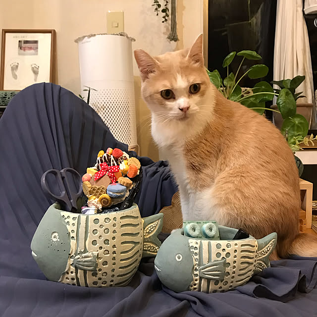 kou-kitiさんの実例写真