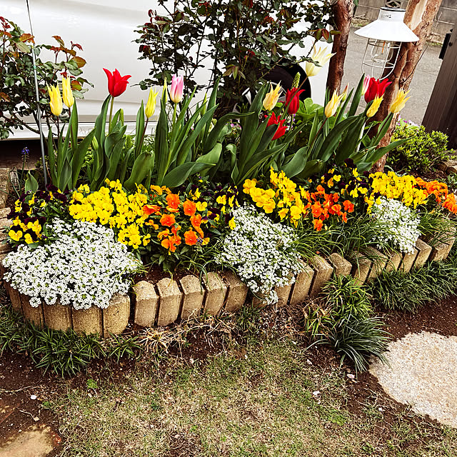 KYONさんの実例写真