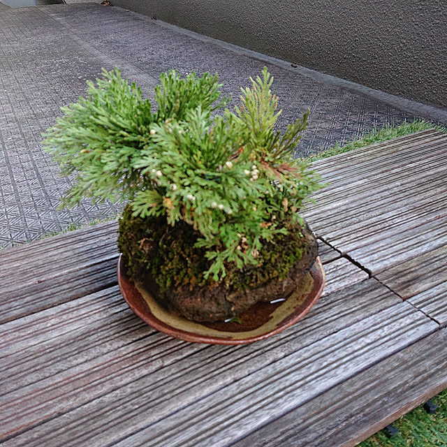 kakkaさんの実例写真