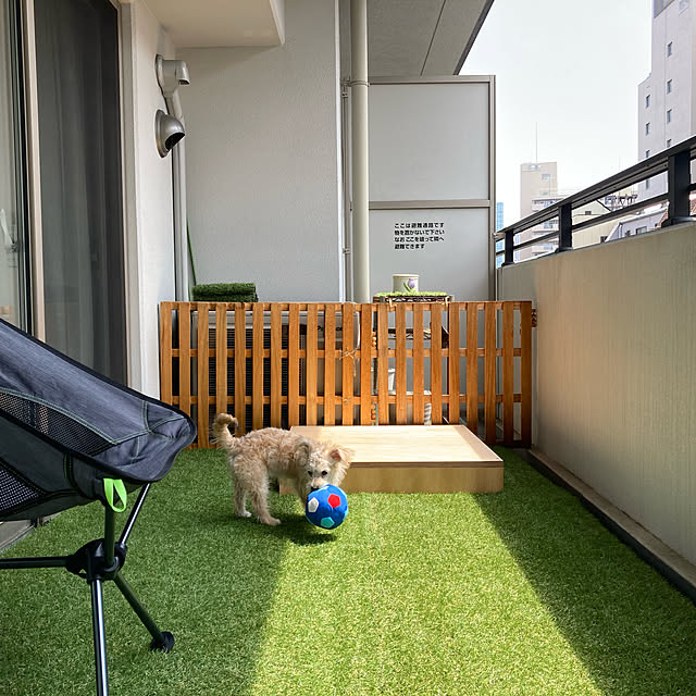 teddyさんの実例写真