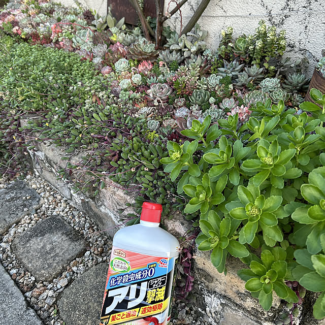 shhさんの部屋