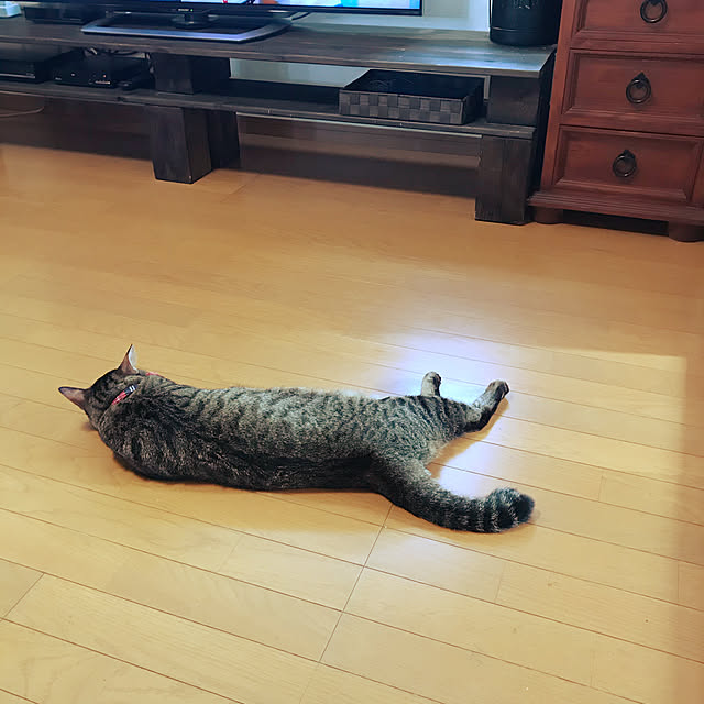 mikan161さんの実例写真