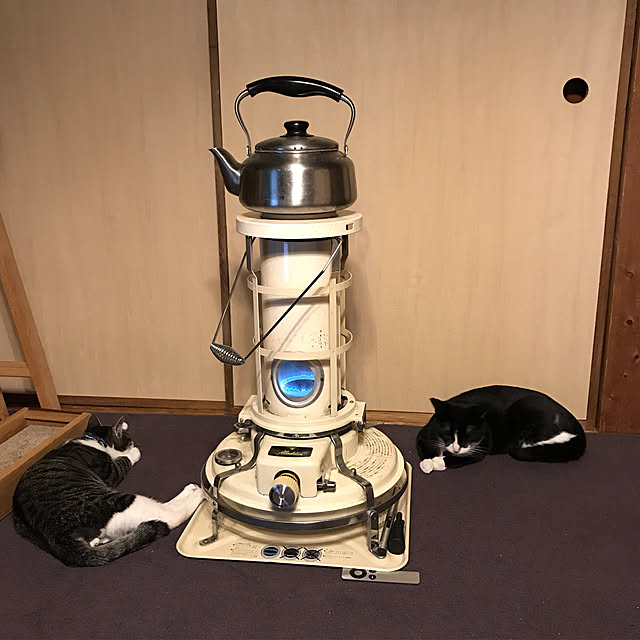 nejimakiさんの実例写真