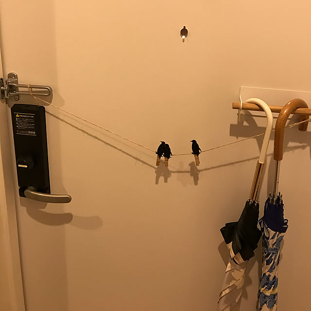 shoppaiXzさんの実例写真