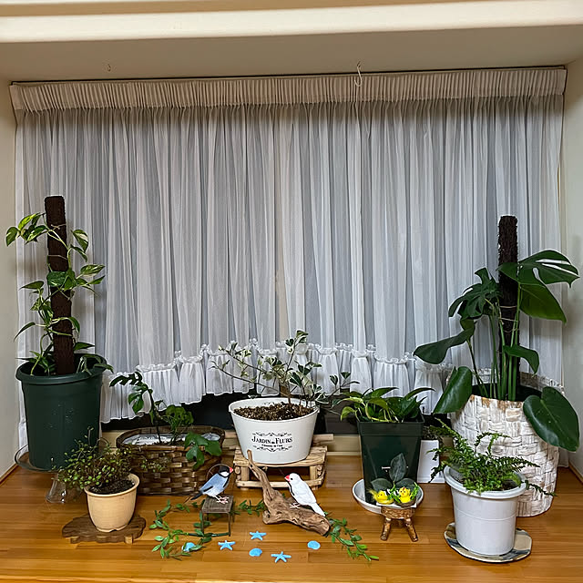 kakoさんの実例写真