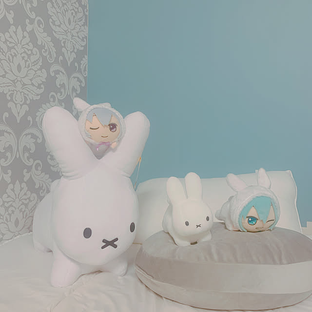 chisouさんの実例写真