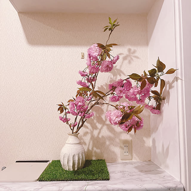 cajonさんの実例写真
