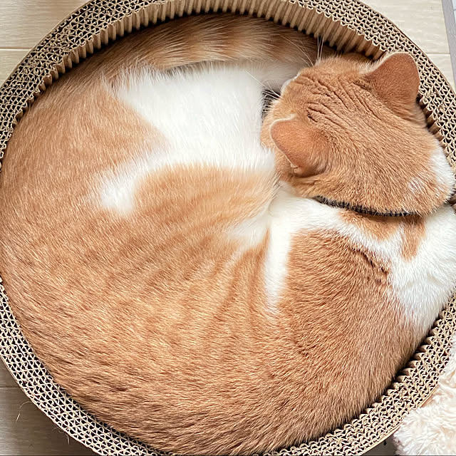 mintteaさんの実例写真