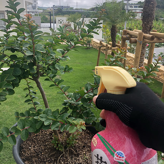 syungikuさんの実例写真