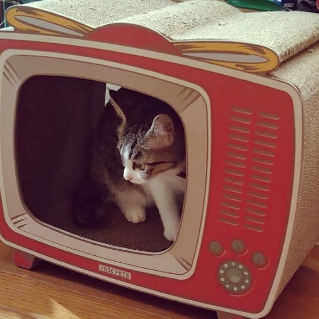 sakai0531cさんの実例写真
