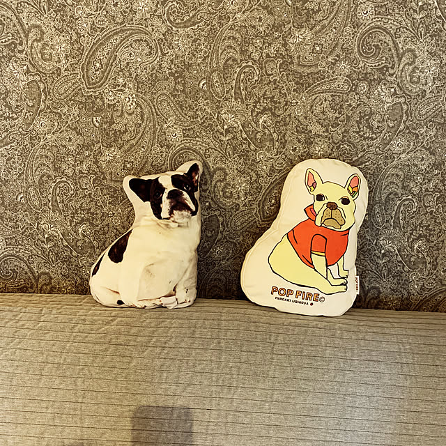 mi-yuさんの実例写真
