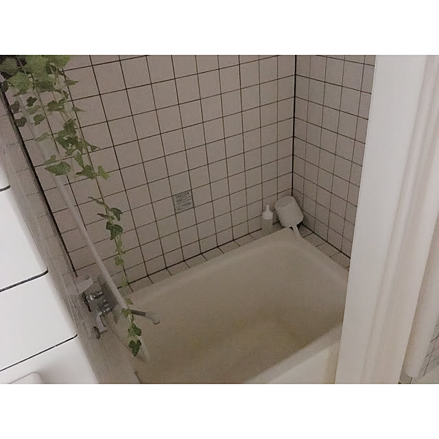 warashibeさんの実例写真