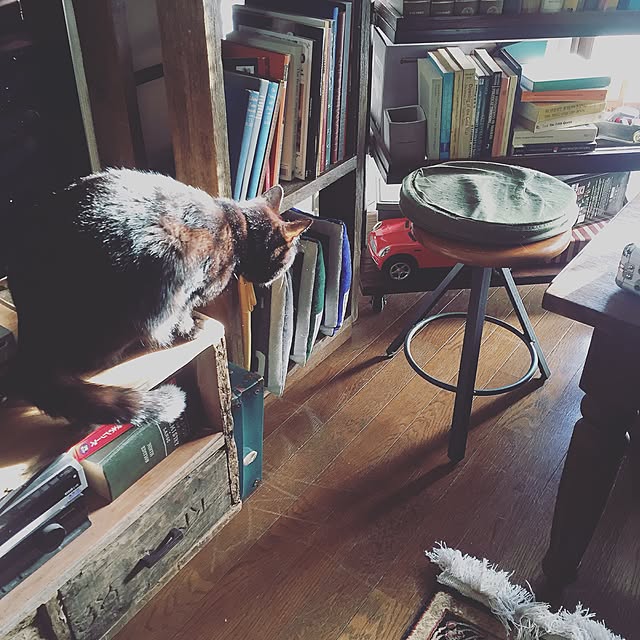 Naoki.さんの実例写真