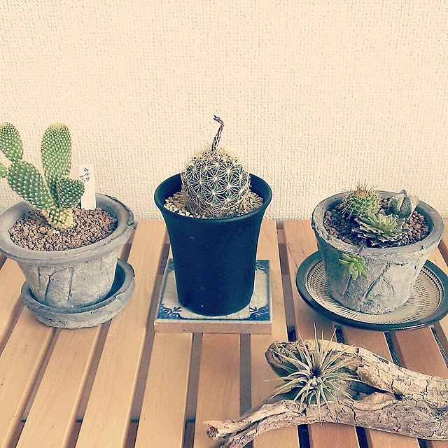 Igako7121さんの実例写真