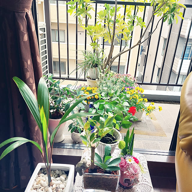 mamayo723さんの実例写真