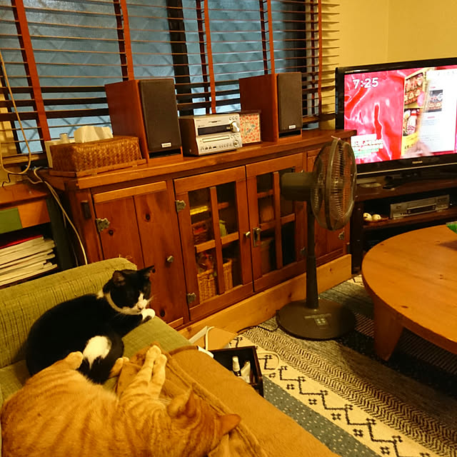 okyosan101さんの実例写真