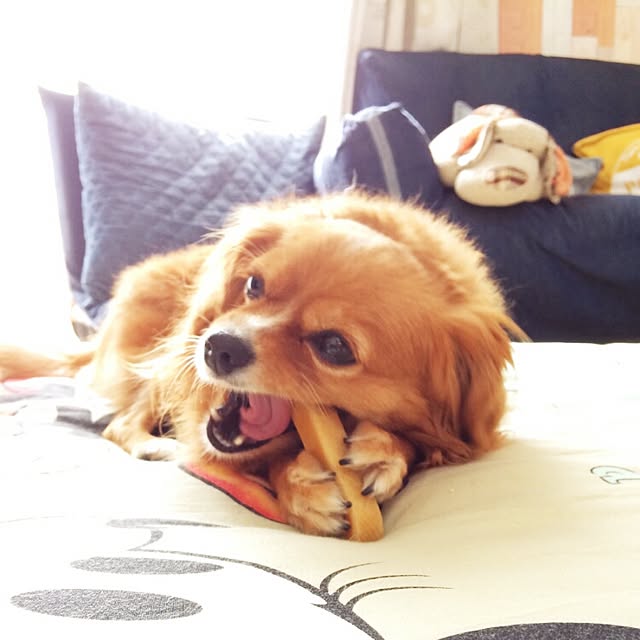 NATTUさんの実例写真