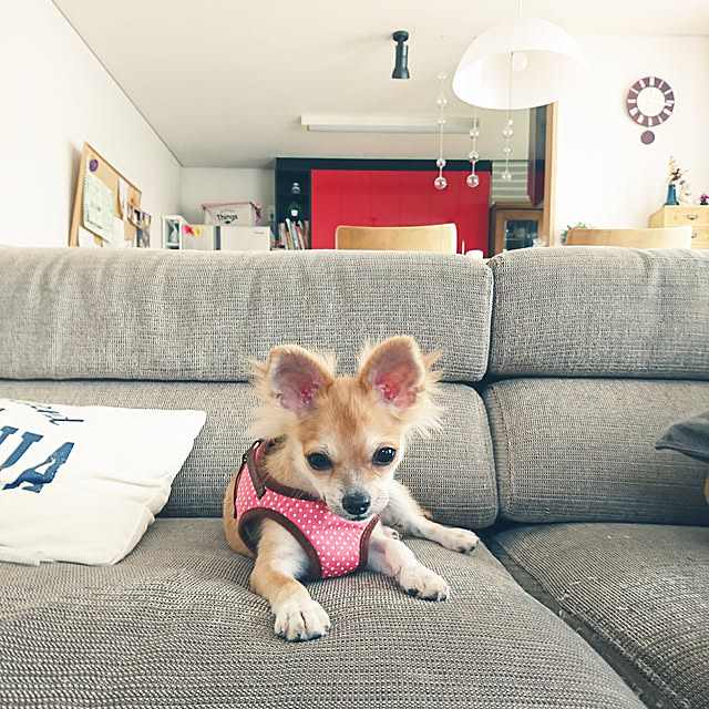 nattimomoさんの実例写真