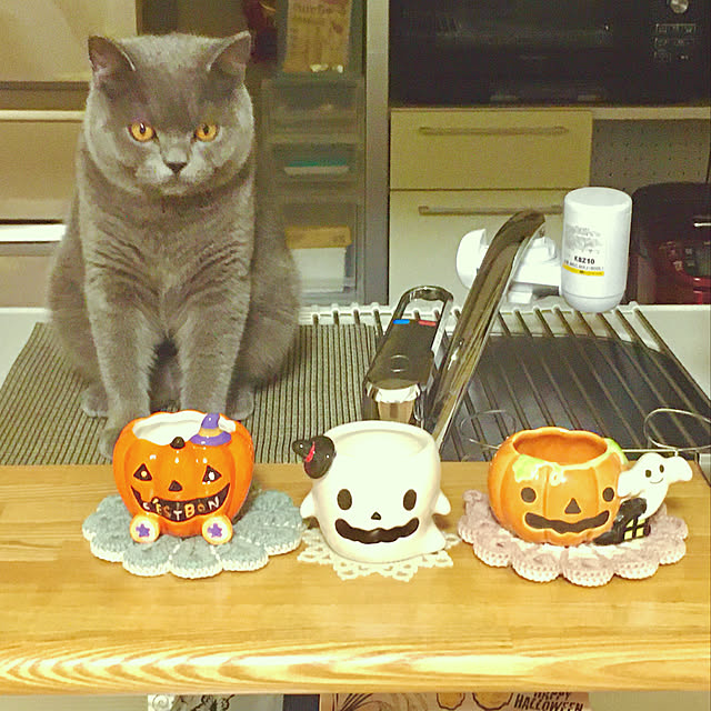 kittyさんの実例写真