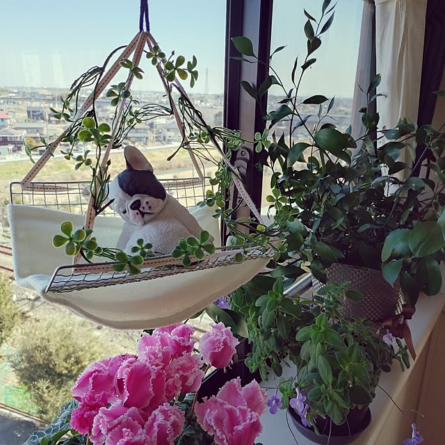 NOAHさんの実例写真