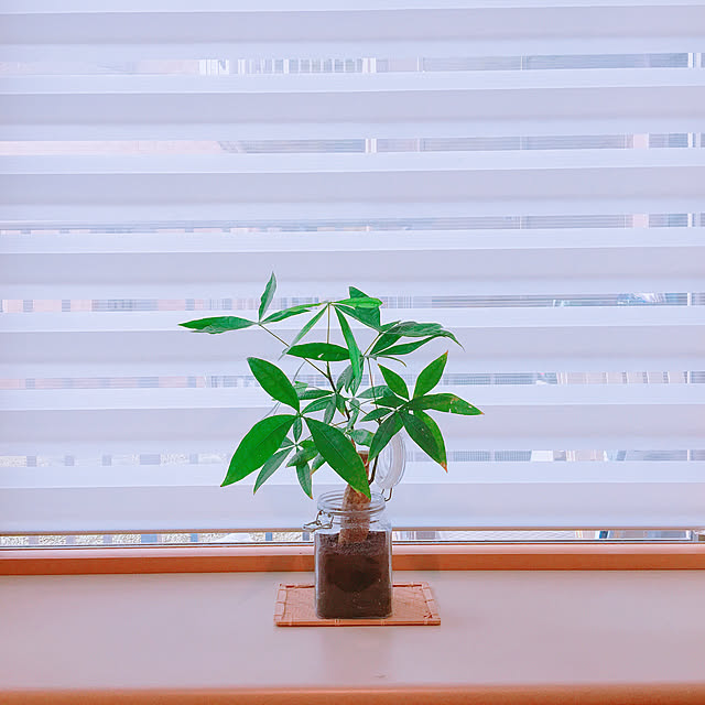tokoさんの実例写真
