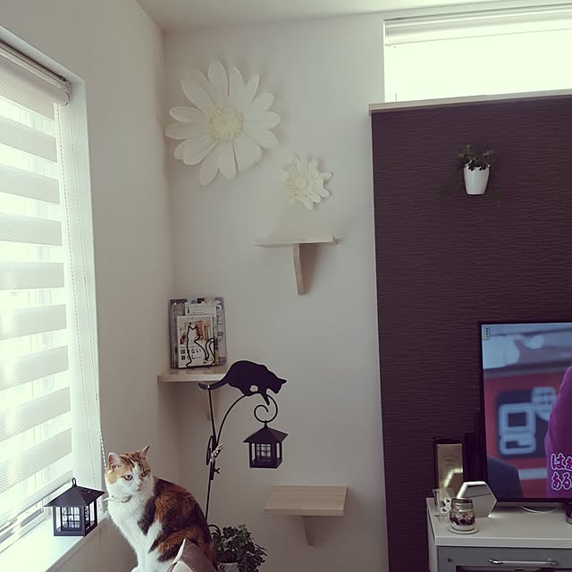 megu.catさんの実例写真