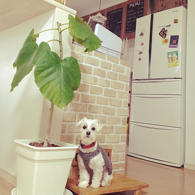 PANNAさんの実例写真