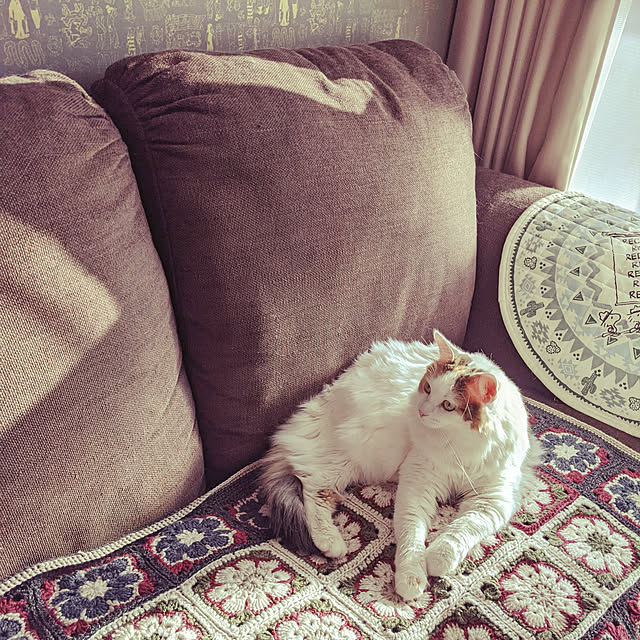 mewさんの実例写真
