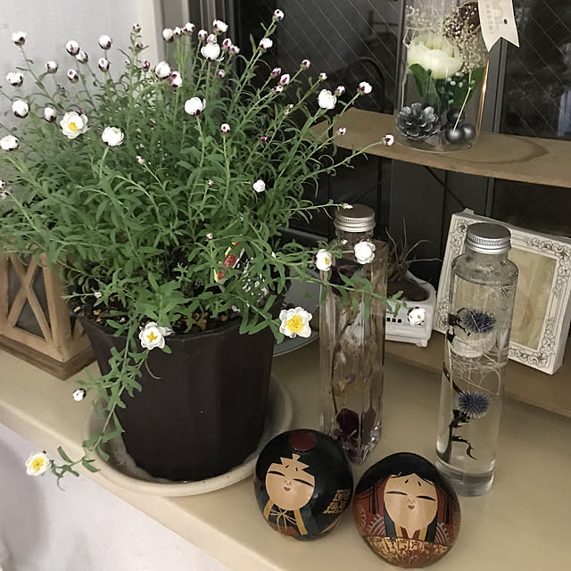 eshinobumさんの実例写真