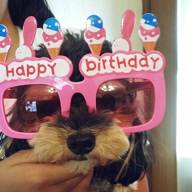 445Tさんの実例写真