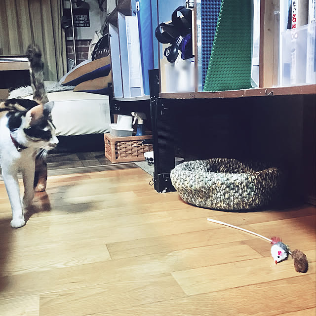 maroさんの実例写真