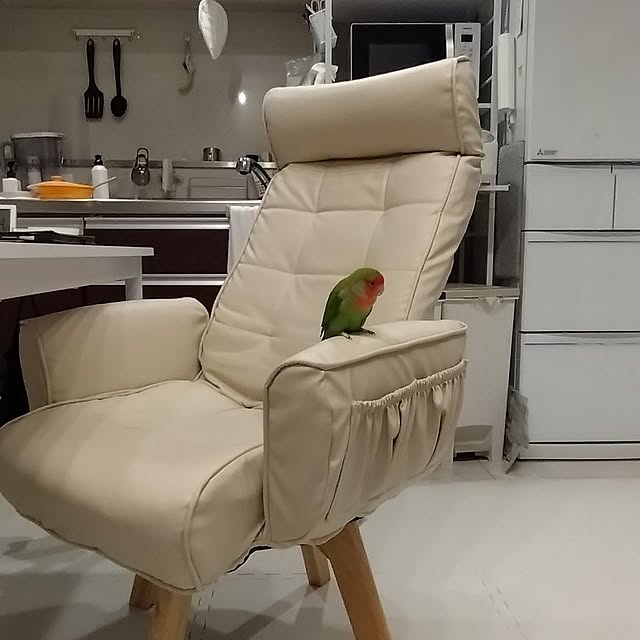 toratanさんの実例写真