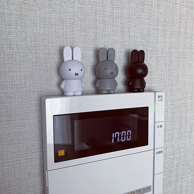 Miさんの実例写真