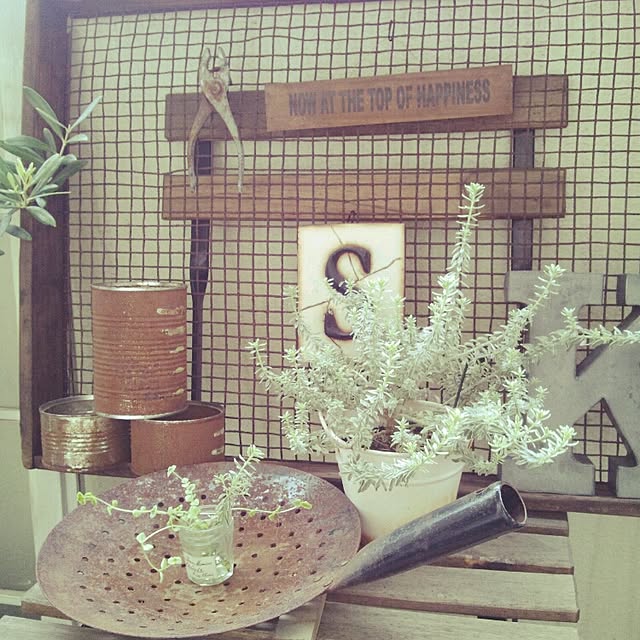 m.hinaさんの実例写真
