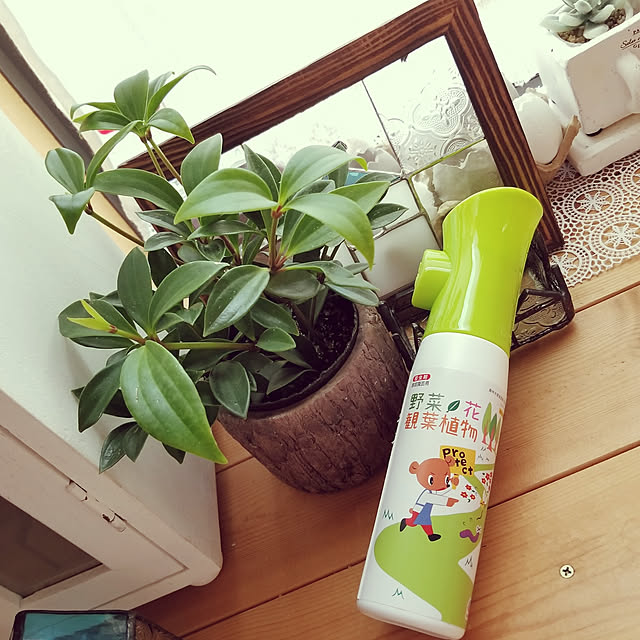 miiさんの実例写真